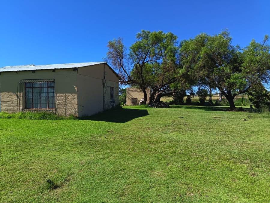 To Let 1 Bedroom Property for Rent in Bloemspruit Free State